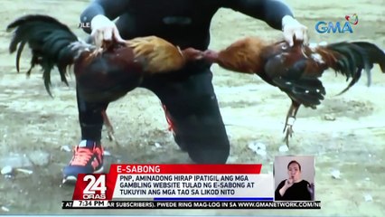 6 na iligal na website ng e-sabong, nabuking ng PNP | 24 Oras