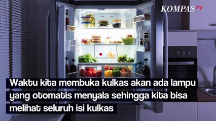 Ini Alasan Kenapa Bagian Freezer di Kulkas Tidak Memiliki Lampu