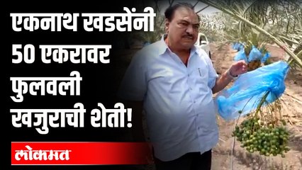 राष्ट्रवादी काँग्रेसचे नेते एकनाथ खडसेंमध्ये दडलाय एक शेतकरी | Eknath khadse Farming Dates Palants