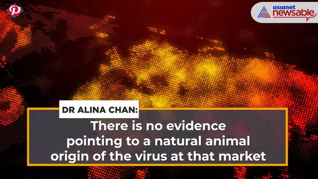 Canadian molecular biologist to UK Parliament: Wuhan lab leak more likely origin of Covid-19