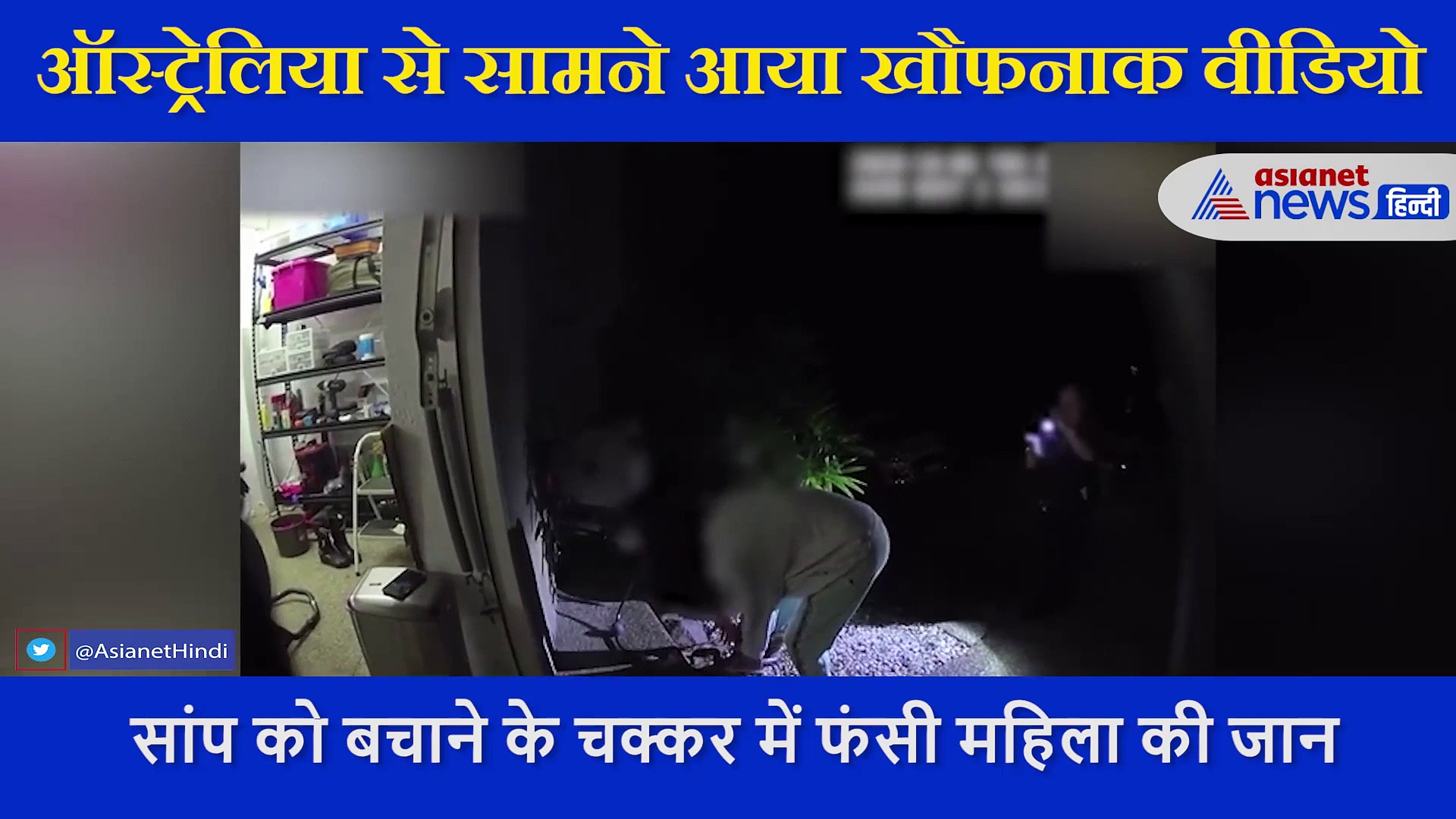 जिस महिला ने बचाई 3 फीट के अजगर की जान, उसी ने 5 सेकंड में मुंह फाड़ बना लिया निवाला