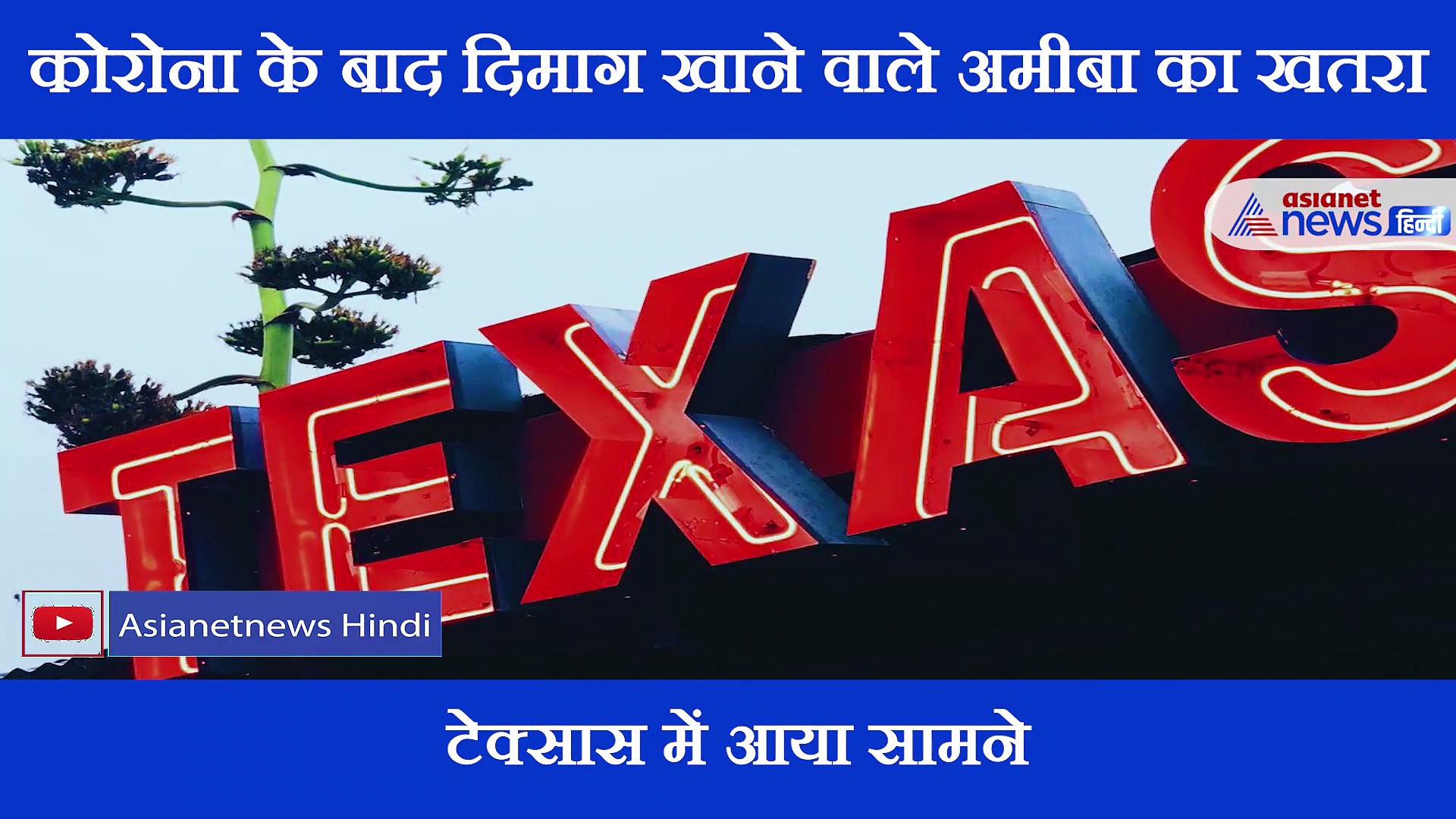 एक नई आफत आई सामने, इस देश में मिला दिमाग खाने वाला अमीबा