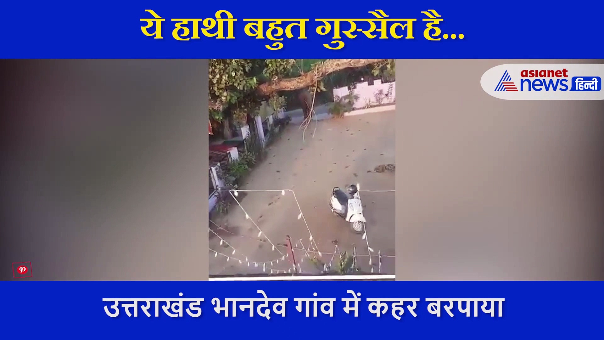 भूखे हाथी ने गन्ने की तलाश में मचाया आतंक, कैमरे में कैद हुआ गजराज का गुस्सा