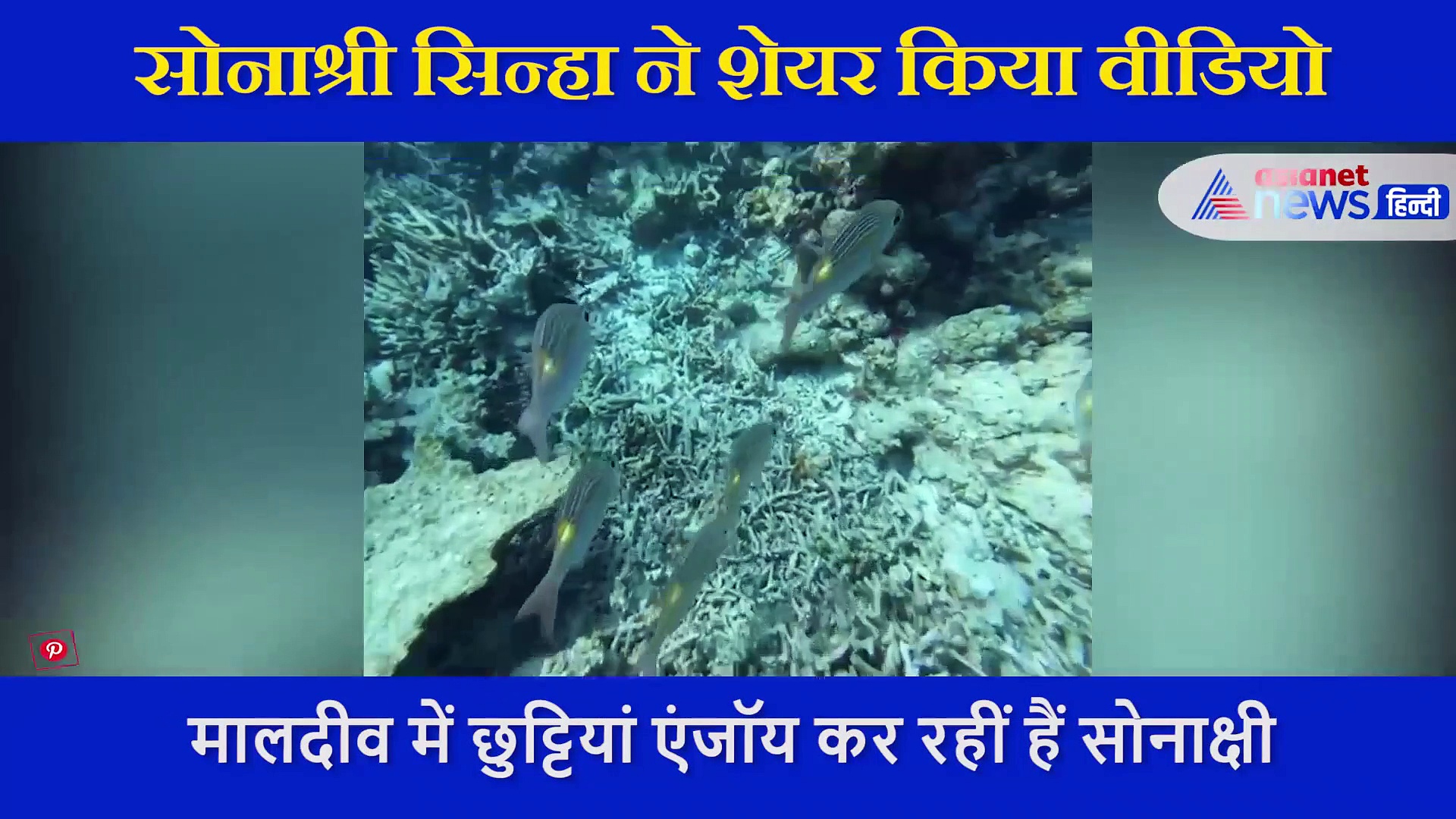 मछलियों के संग तैरती हुई नजर आईं सोनाक्षी सिन्हा, समुद्र की खूबसूरत लाइफ को कर रहीं एंजॉय