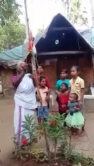 Viral video of the patriotic grandmother unfurling tricolour along with kids