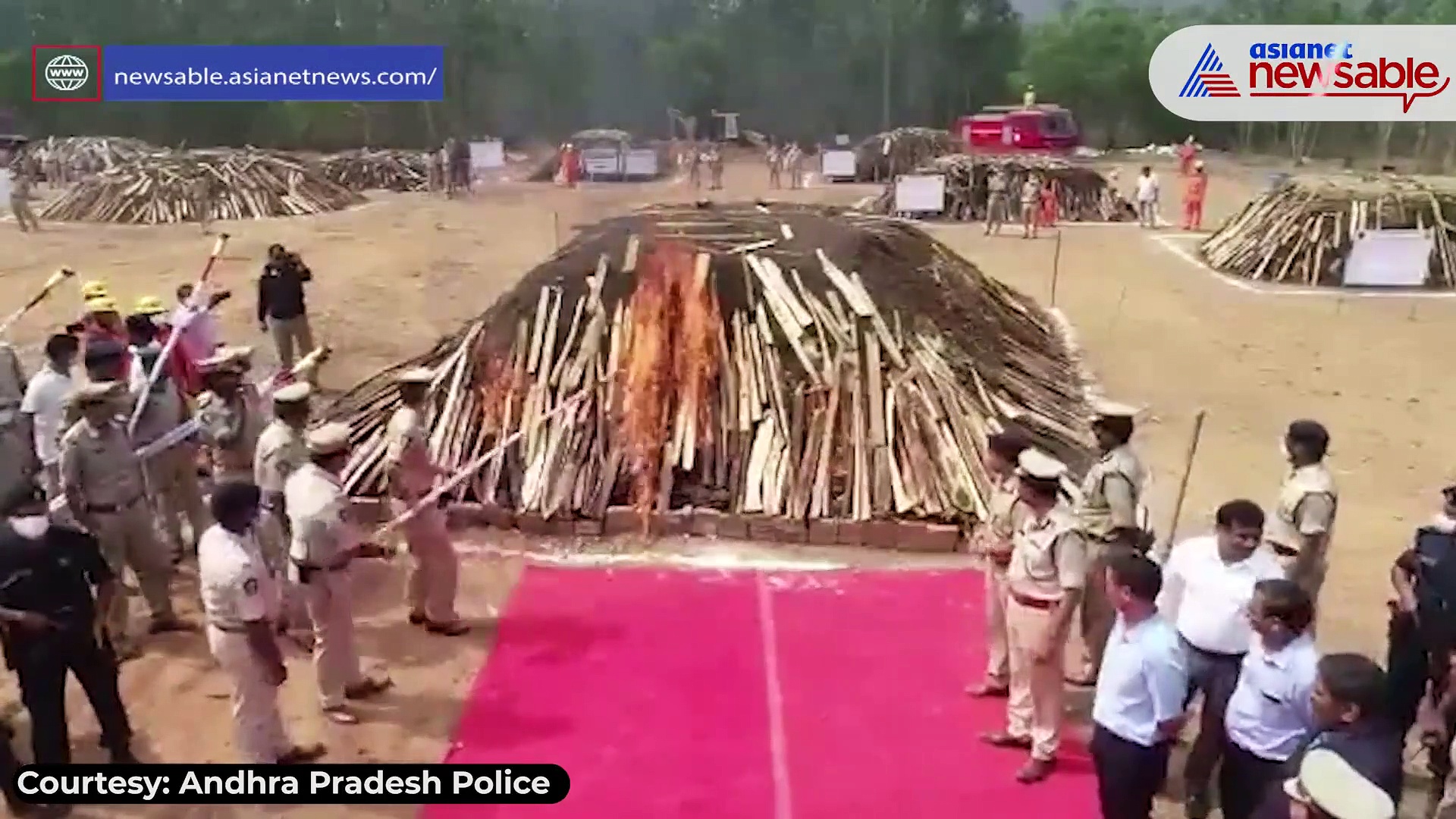 Andhra Pradesh police burns 2 lakh kg of ganja worth Rs 200 crore