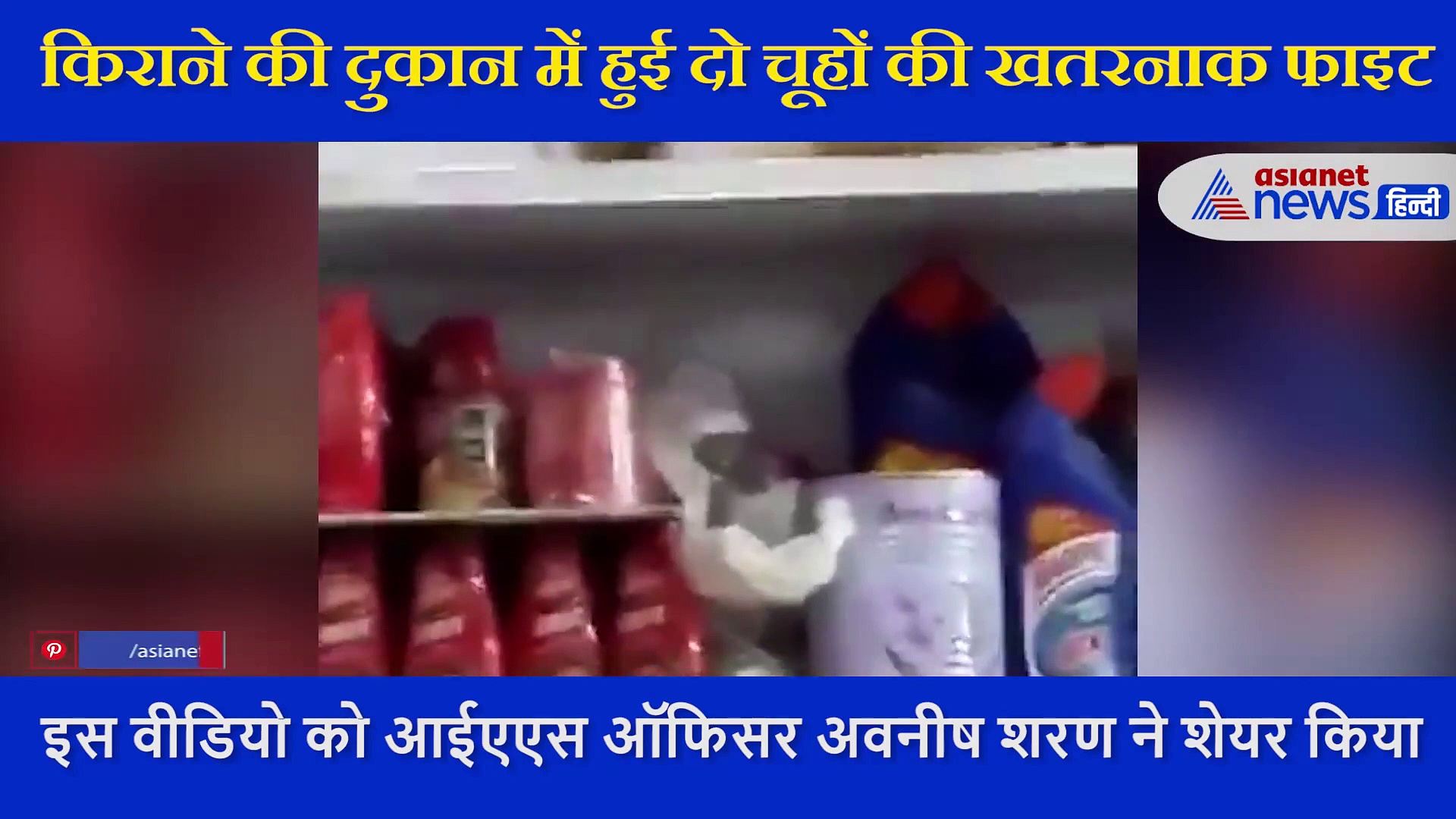 किराने की दुकान में हुई दो चूहों की खतरनाक फाइट, कैमरे में कैद हुए रेयर फाइट