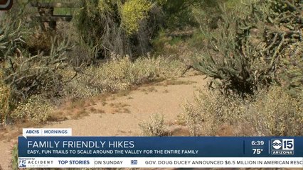 Family-friendly hikes without climbing a mountain