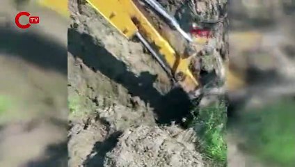 Düzce'de kazılan yerlerden 15 köpek ölüsü çıktı: Soruşturma başlatıldı