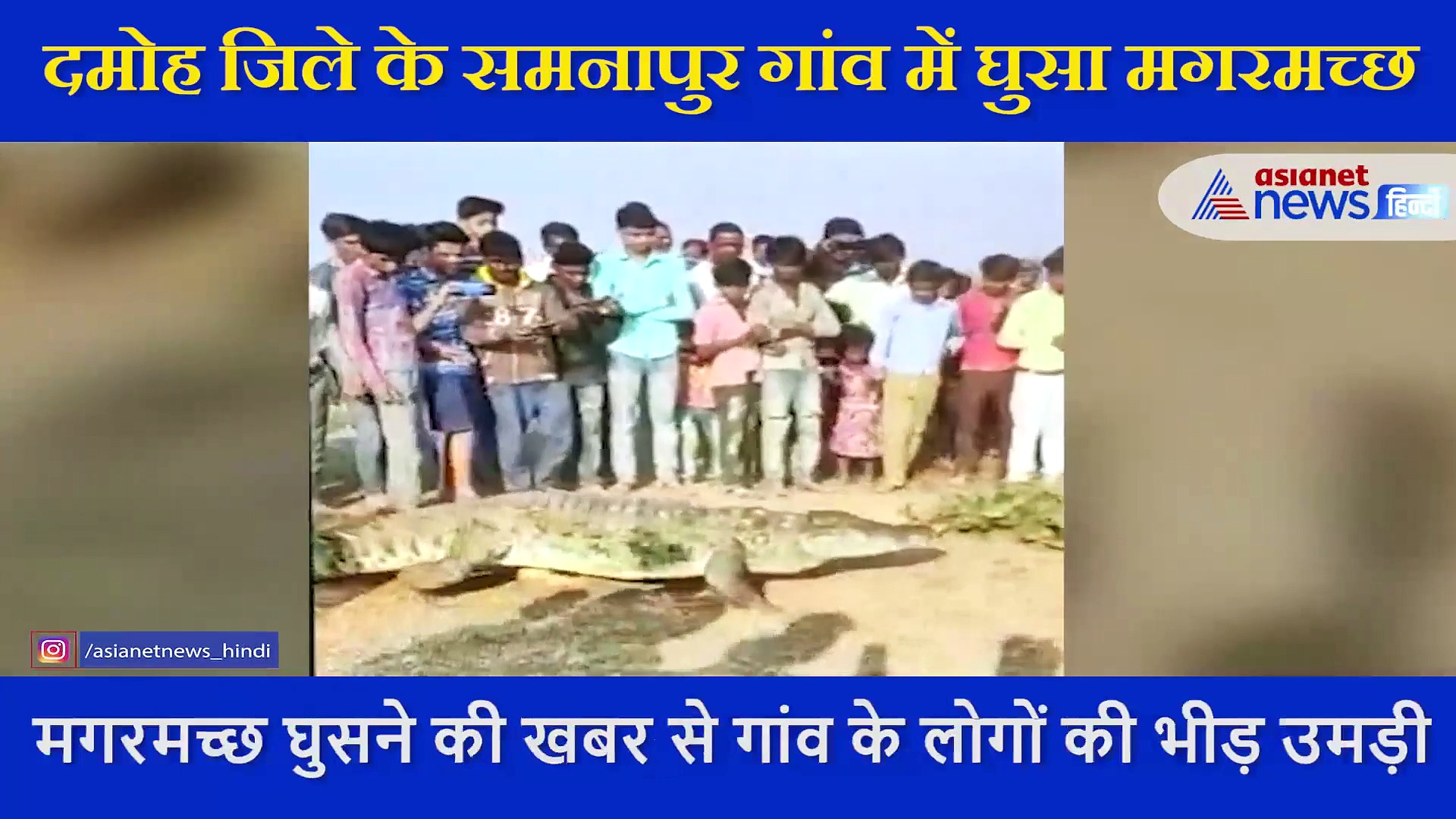 दिवाली के दिन गांव में निकल कर घूम रहा था मगरमच्छ, बच्चे करने लगे खिलवाड़, देखें शॉकिंग VIDEO