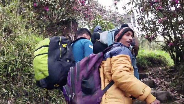 Trekking to Barsey part 1 | Beautiful Rhododendron | Best place to visit in Sikkim | Easy himalayan trek for beginner