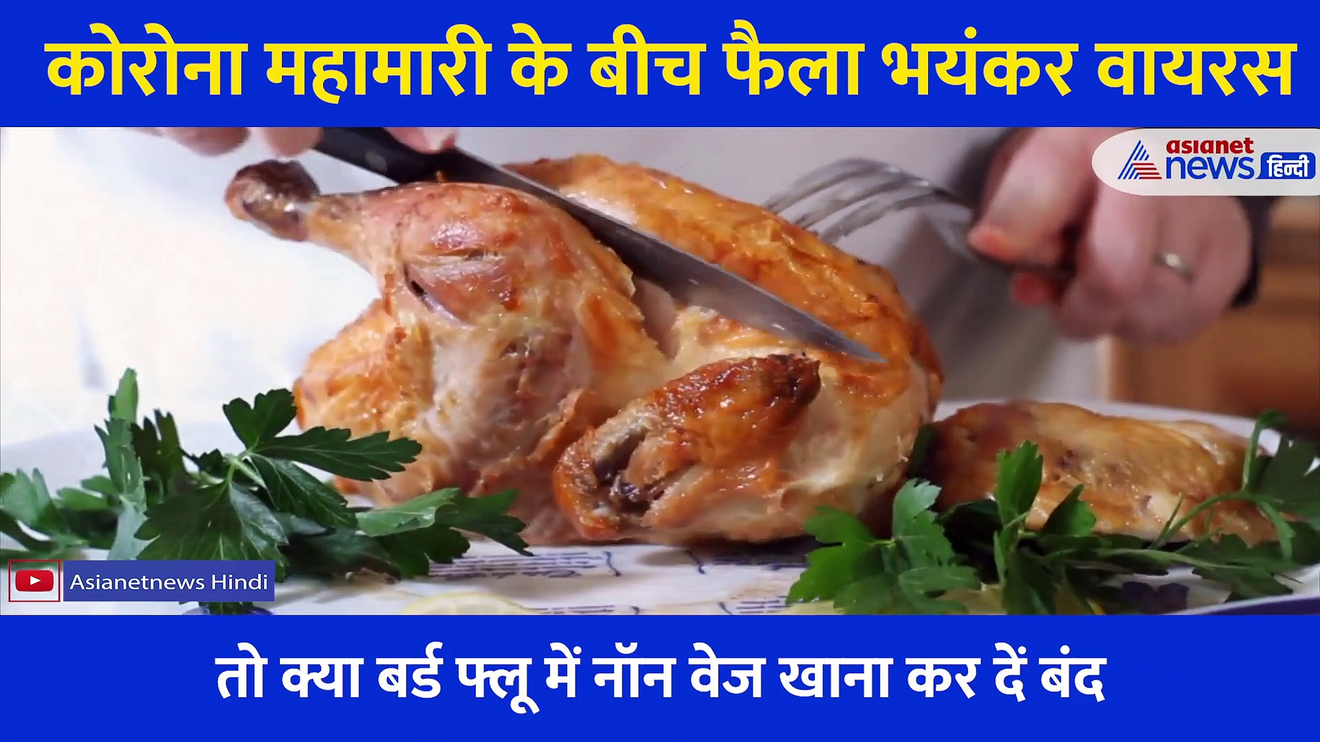 बर्ड फ्लू में भी जमकर खाएं चिकन और अंडा, बस बनाते हुए रखें 1 चीज का ध्यान