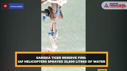 Sariska Tiger Reserve Fire: IAF helicopters sprayed 33,500 litres of water