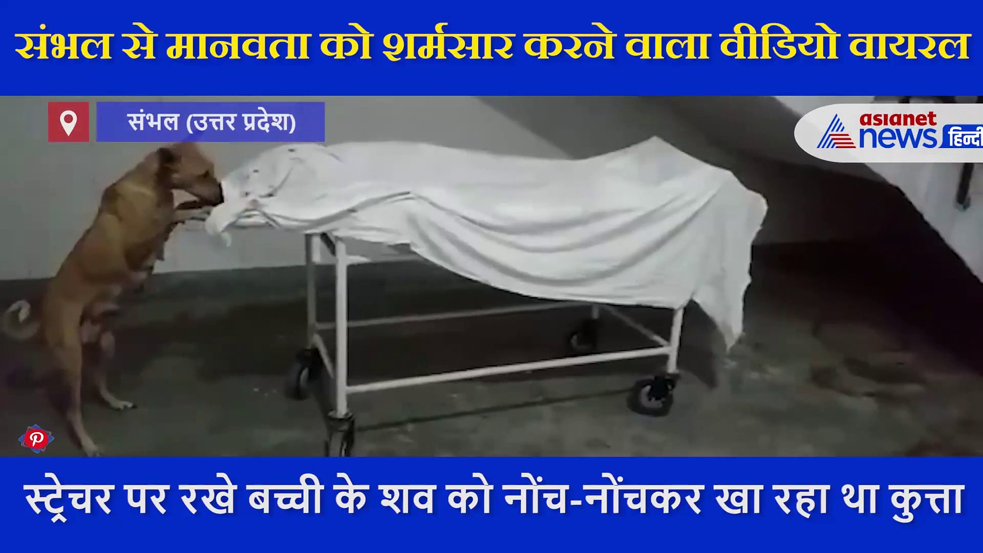 जिला अस्पताल में बच्ची का शव नोच रहा कुत्ता, देखिए video