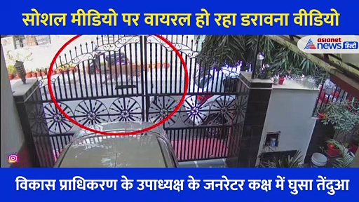 जनरेटर चालू कर रहा था शख्स, अचानक पीछे से ऊपर कूद गया तेंदुआ... देखें कंपकंपा देने वाला वीडियो