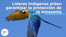 Líderes indígenas piden garantizar la protección de la Amazonía | 449 | 23 al 29 de mayo 2022