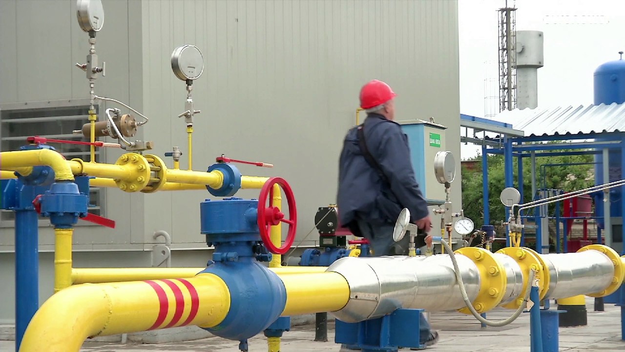 La Russia e il cane a sei zampe