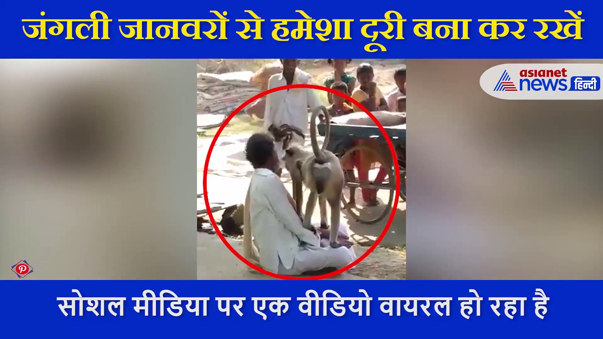 बंदर ने दिया बुजुर्ग को ऐसा घाव, वीडियो देख आप भी बनाने लगेंगे  जंगली जानवरों से दूरी