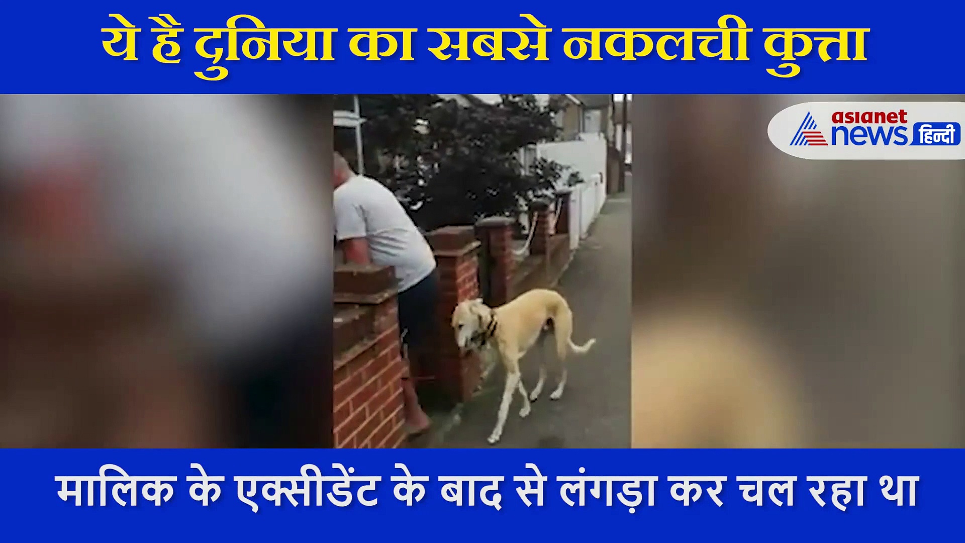 मालिक के एक्सीडेंट के बाद से ही लंगड़ा कर चल रहा था कुत्ता,30 हजार के ट्रीटमेंट के बाद पता चली मजेदार सच्चाई