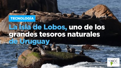 La Isla de Lobos, uno de los grandes tesoros naturales de Uruguay