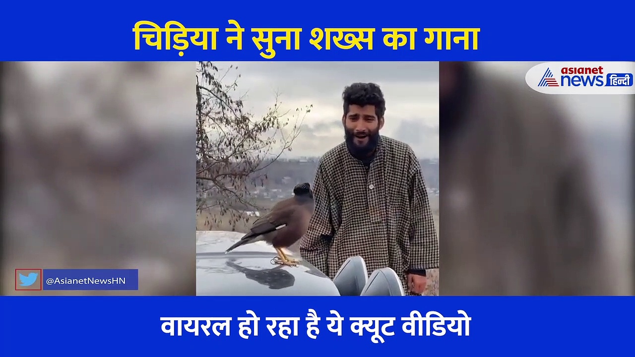 शख्स का गाना सुन चहचहाने लगी चिड़िया, लोगों ने कैमरे में कैद कर लिया ये खूबसूरत नजारा, देखें वीडियो