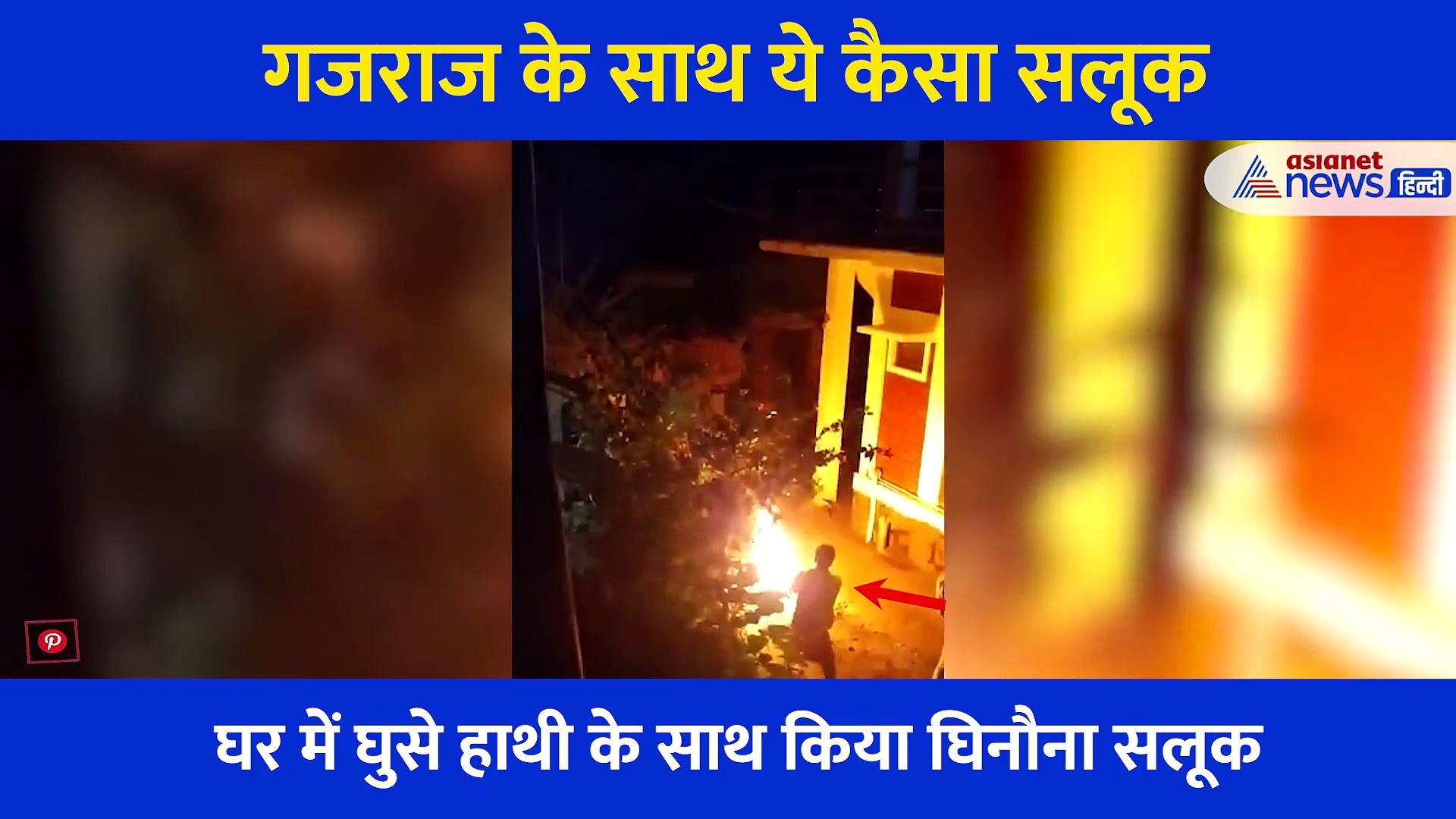 क्रूरता: लोगों ने हाथी को जिंदा जलाया, तड़पकर मर गया बेजुबान... फूट फूट कर रोया फॉरेस्ट अफसर