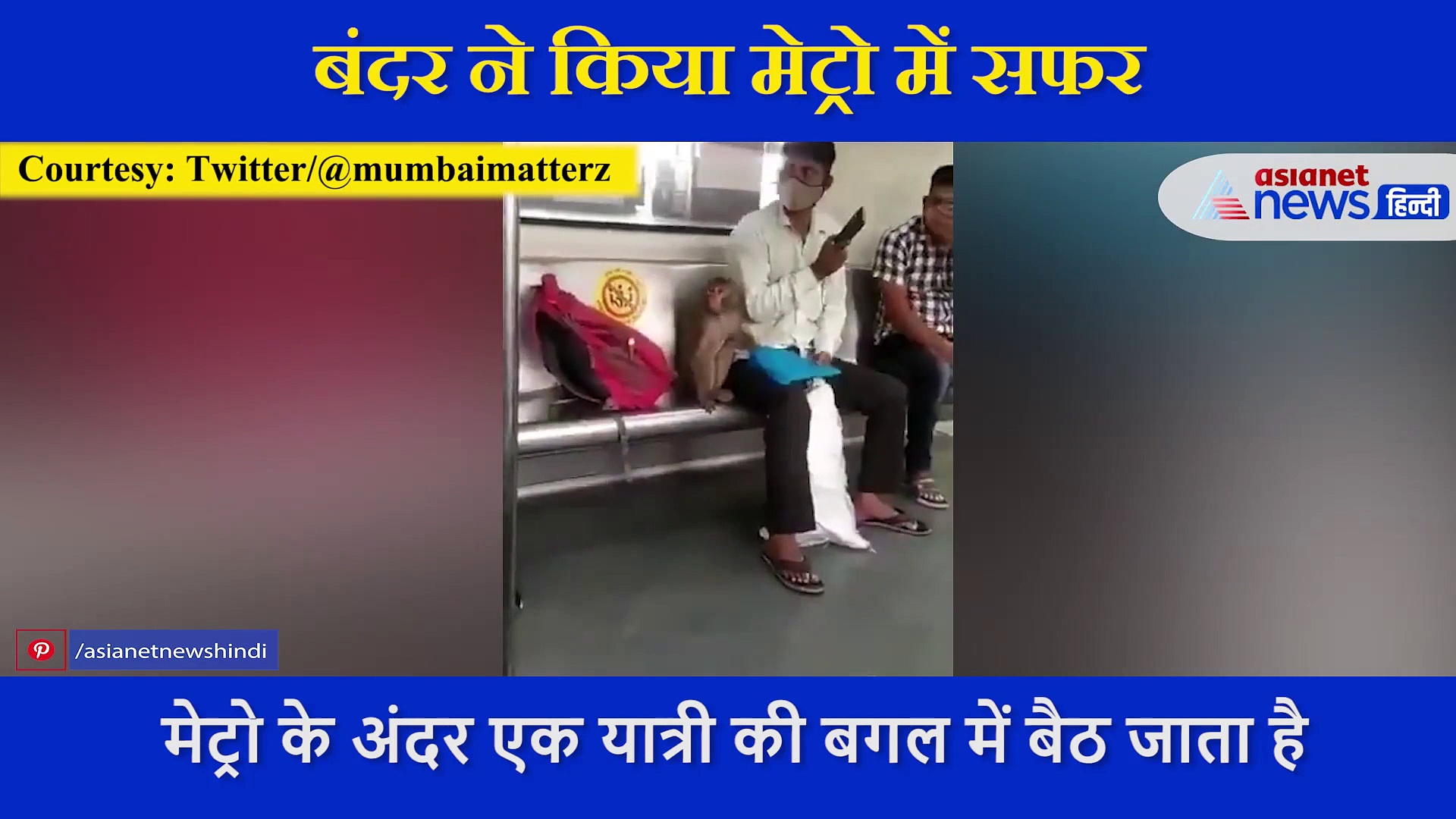 मेट्रो में दिखा गजब नजारा, बंदर ने किया सफर, यात्री के पास बैठ करने लगा ये काम