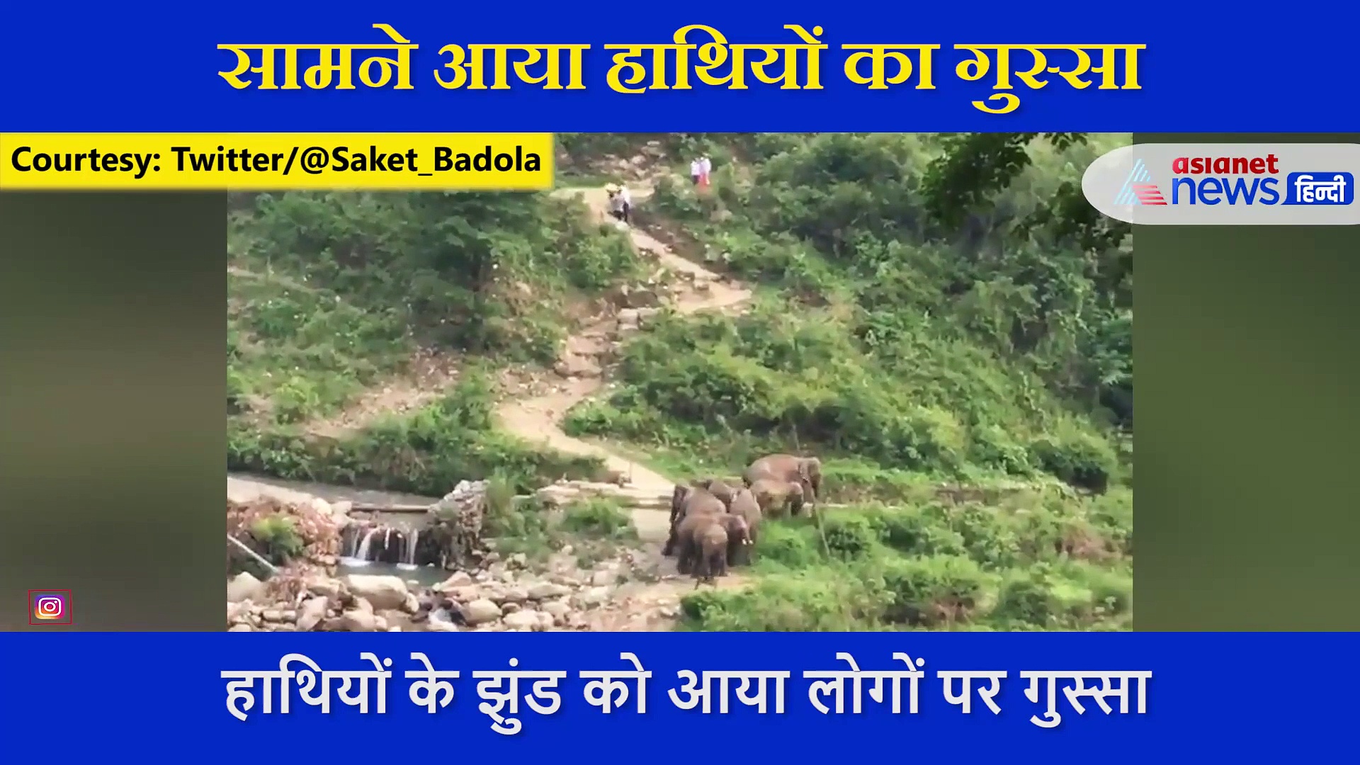 रास्ता पार कर रहे था हाथियों का झुंड,  सामने आए  लोगों पर निकला  गुस्सा, ऐसे बचाई अपनी जान