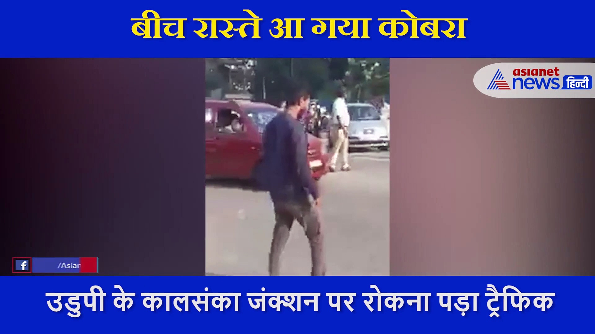 भारी ट्रैफिक के बीच सड़क पर आ गया किंग कोबरा, 30 मिनट तक लोगों की थम गई सांसे