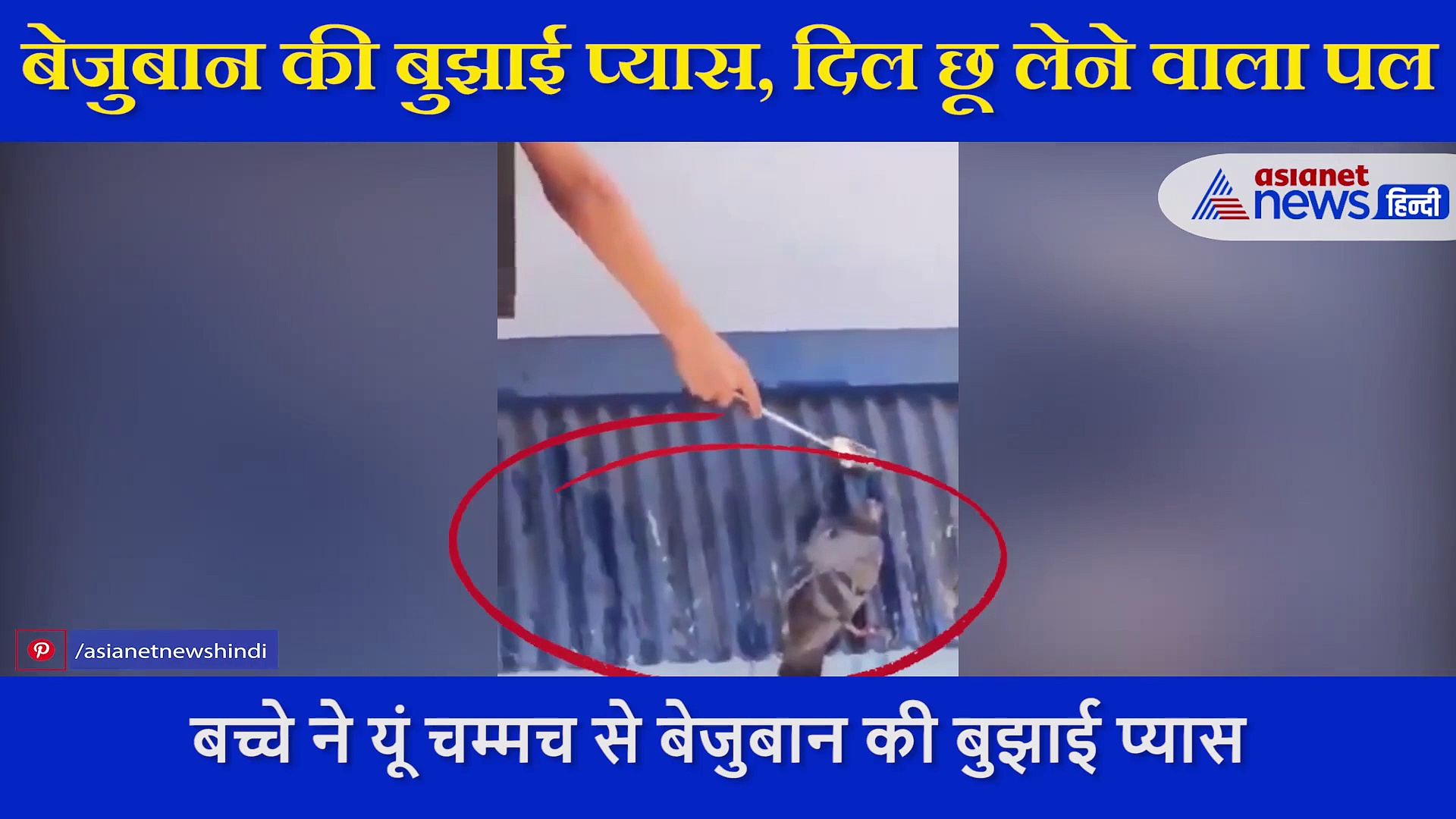 गर्मी में बच्चे ने  बुझाई बेजुबान की बुझाई प्यास,  दिल छू लेने वाला देखिए VIDEO