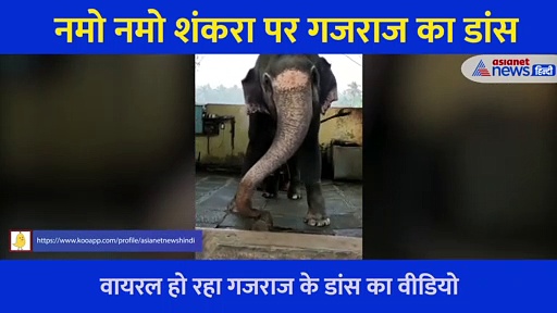 नमो नमो शंकरा पर हाथी ने मदमस्त होकर किया डांस, लोग बोले जय हो गजराज, देखें Video