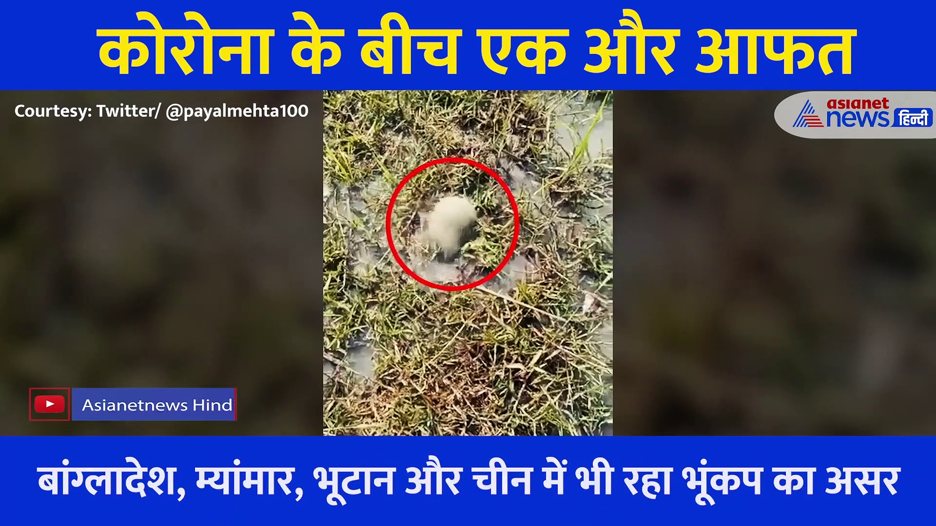 सड़कों में दरार, फूटी घर की छतें... एक के बाद एक झटकों से थर्राया असम, मंजर देख कांप जाएंगे आप