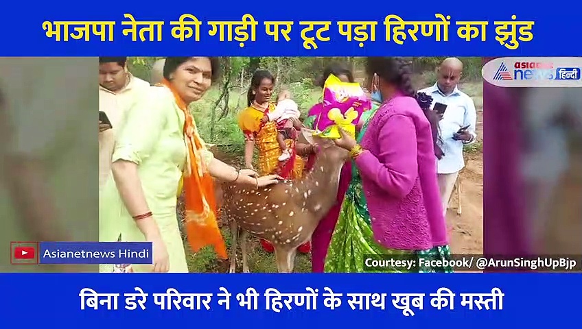 ...और नेताजी की गाड़ी रुकते ही टूट पड़ा हिरणों का झुंड, खूब हिट हो रहा वीडियो
