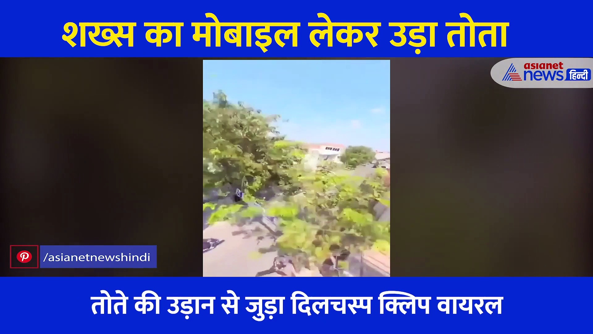 बेजुबान तोते ने आसमान से कैमरे में कैद किया खूबसूरत नजारा, कैमरा Skills देख आप भी हो जाएंगे हैरान