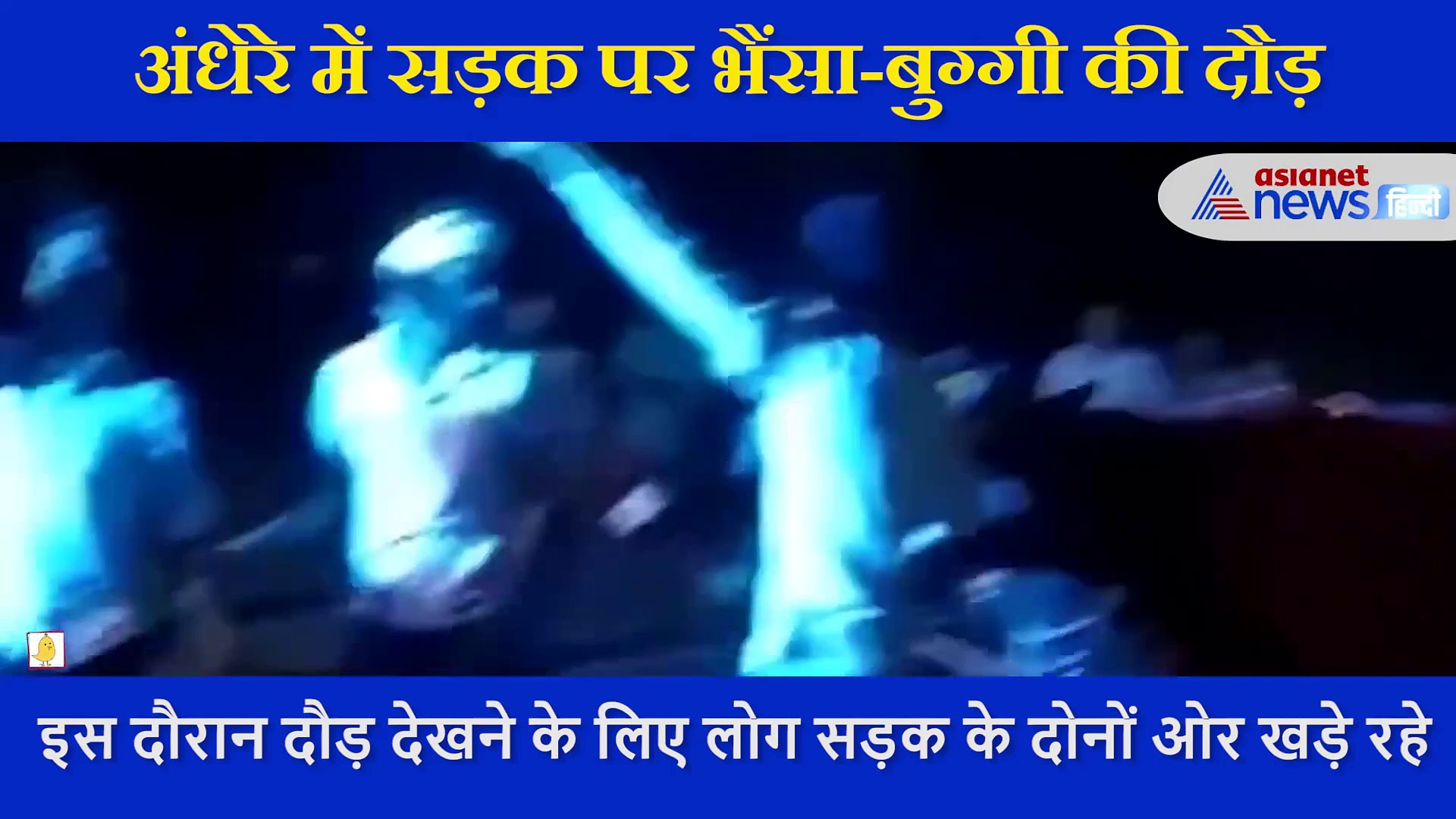बागपत में भैंसा बुग्गी दौड़ के नाम पर फिर उड़ा कानून व्यवस्था का माखौल, तीन घंटे तक लगी रही जान की बाजी
