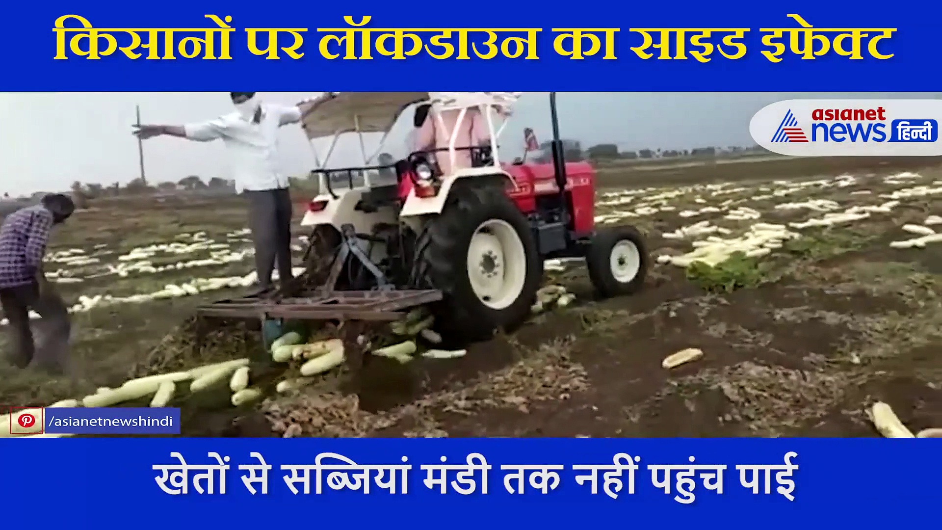 लॉकडाउन की वजह से फसल पर किसान ने चलाया ट्रैक्टर,इस वजह से था परेशान