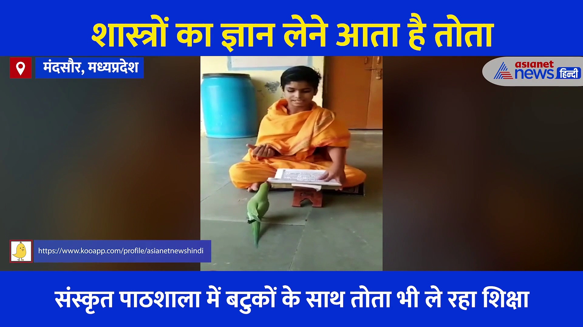 अद्भुत वीडियो: छात्रों के साथ शास्त्रों का ज्ञान ले रहा तोता, ढाई महीने में नहीं छोड़ी एक भी क्लास