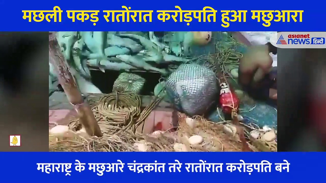 मछुआरे के जाल में आई 'सोने के दिल' वाली मछली, रातोंरात बन गया करोड़पति, देखें Video