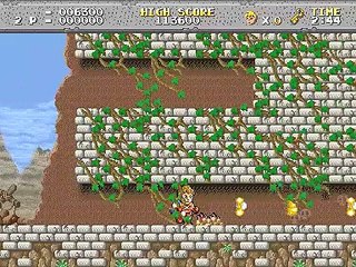 Legend of Hero Tonma online multiplayer - arcade