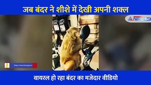 Video: शीशे में अपना चेहरा देखा तो शॉक्ड हो गया बंदर, एक्सप्रेशन देख नहीं रोक पाएंगे अपनी हंसी