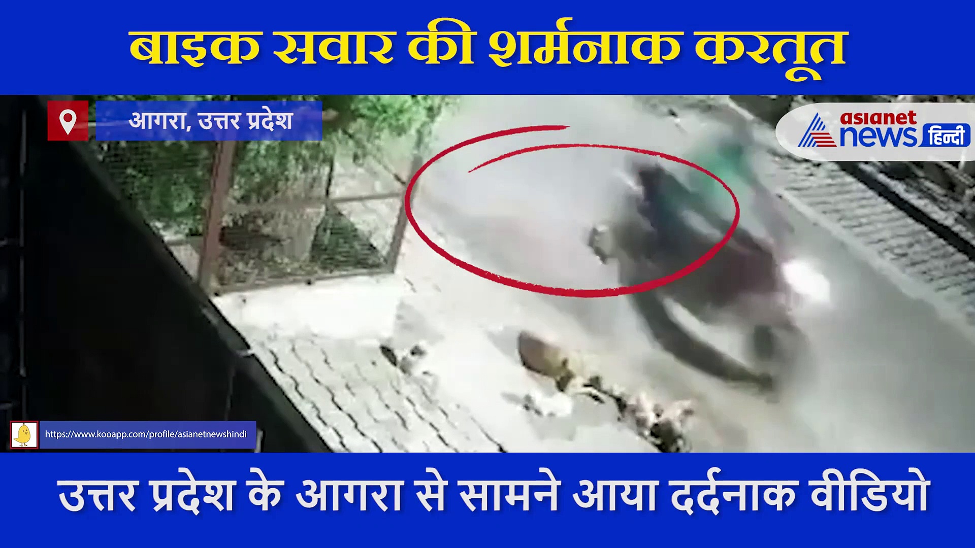 शर्मनाक: बाइक सवार ने  डॉगी को जानबूझकर बेरहमी से कुचला, बेजुबान ने तोड़ दिया दम