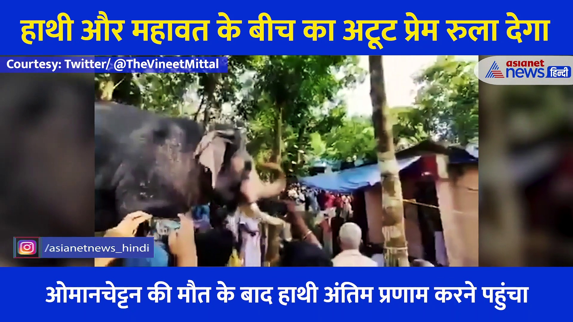 हाथी ने महावत को किया अंतिम प्रणाम तो फूट फूट कर रोने लगे लोग, इंटरनेट पर आग की तरह फैल रहा वीडियो