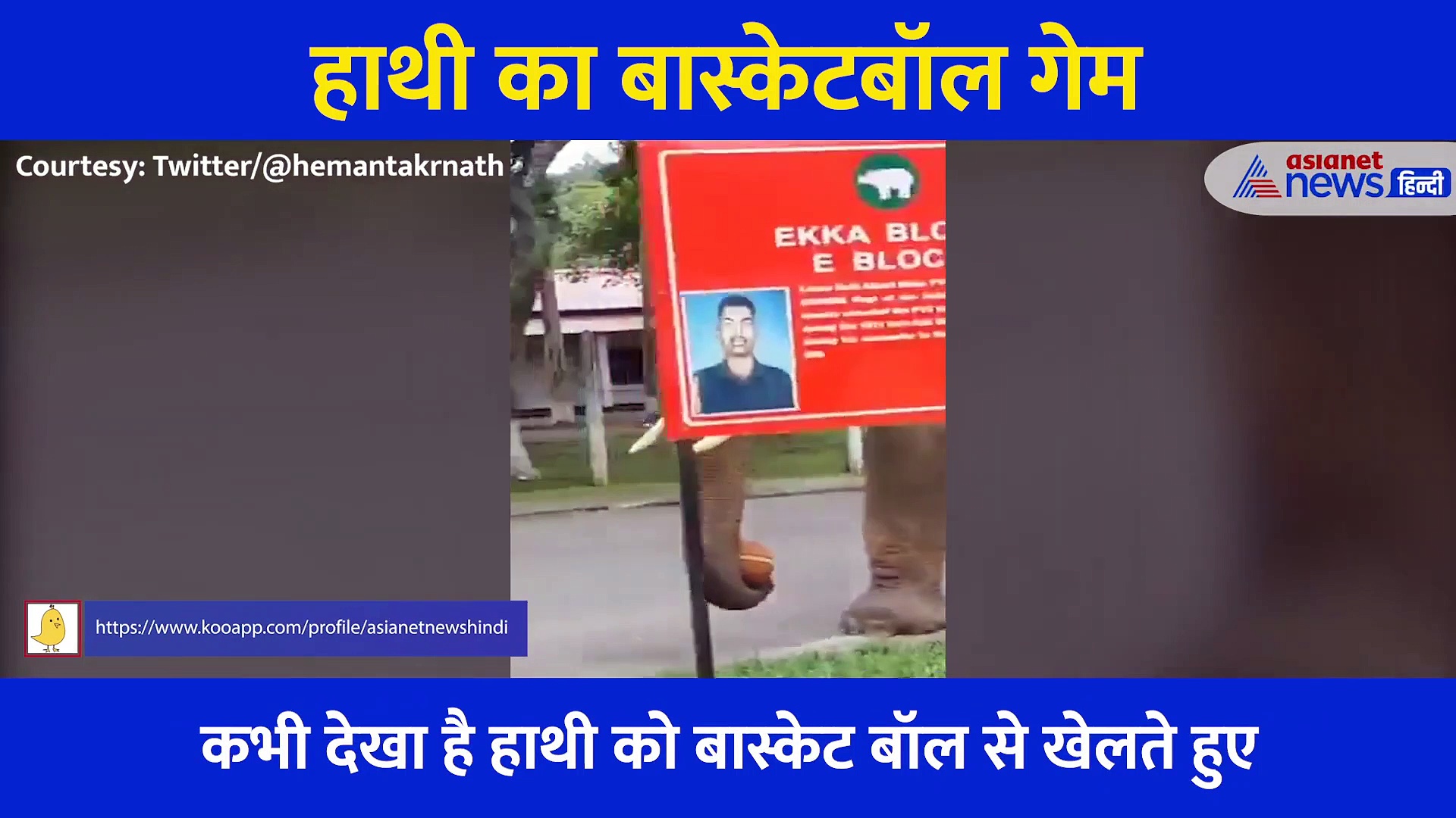 बॉस्केटबॉल खेल रहे खिलाड़ियों की हाथी ने सूंड में लपकी बॉल, खुद सड़क पर करते दिखा ऐसे स्टंट