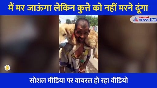Video: 'मैं मर जाऊंगा लेकिन कुत्ते को नहीं मरने दूंगा' जब शख्स ने खुद को छोड़ जानवर को पहनाया मास्क
