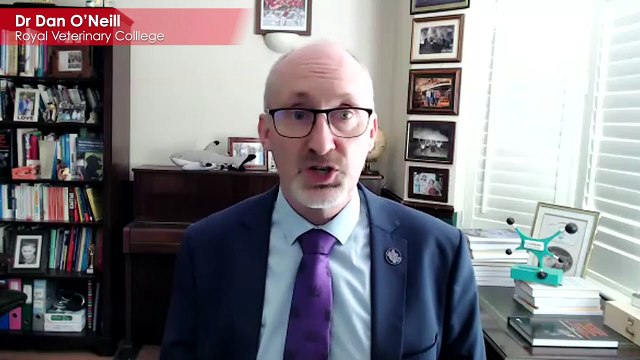 People warned not to buy pugs due to serious health issues