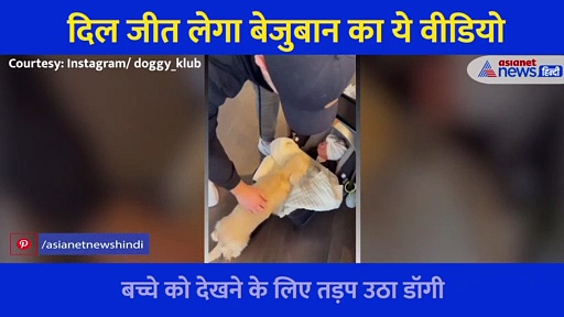 मालिक के घर हुआ बच्चे का जन्म तो दो पैरों पर खड़े होकर कुत्ते की ये रिक्वेस्ट, दिल जीत लेगा Video
