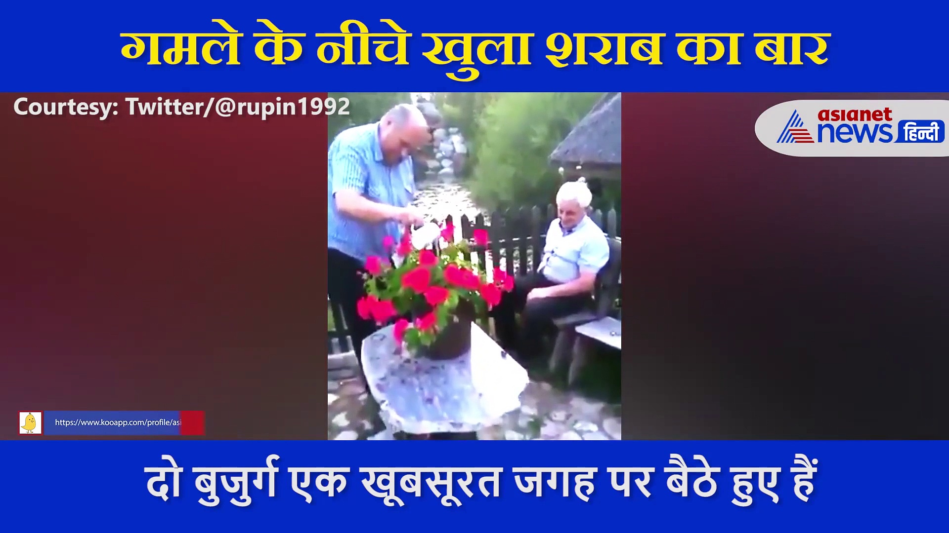 गमले के नीचे खुला शराब का बार, वीडियो देख खुली रह जाएंगी आंखें