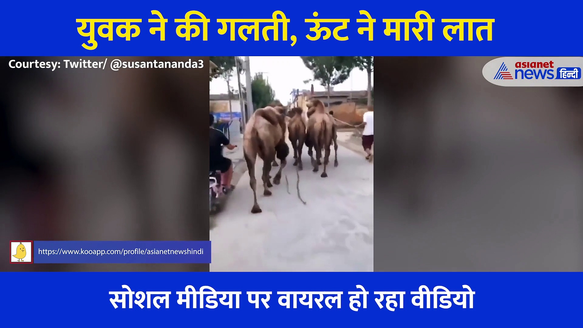 बाइक सवार युवक की एक गलती, ऊंट ने सुना दे दी ऑन द स्पॉट सजा, वीडियो देख रह जाएंगे दंग