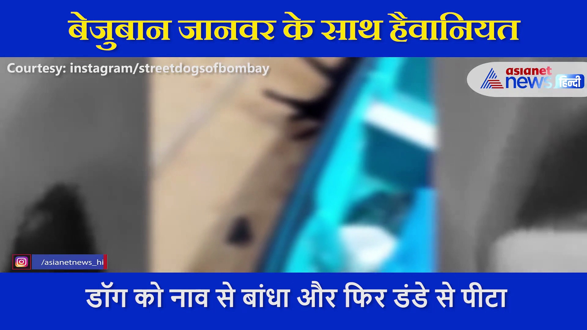 दर्दनाक वीडियो : युवकों ने नाव से बेजुबान को बांध डंडे से पीट-पीटकर उतारा मौत के घाट