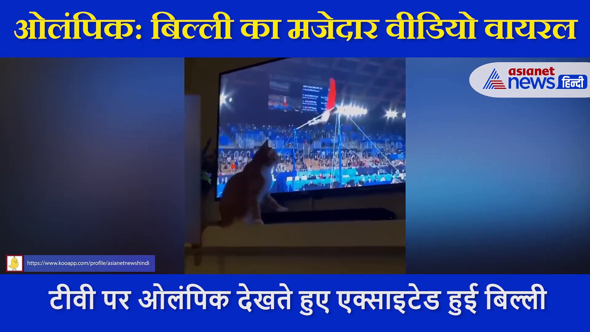 Tokyo Olympics में एथलीट्स को देख एक्साइटेड हुई बिल्ली, वायरल हुआ 54 सेकंड का वीडियो